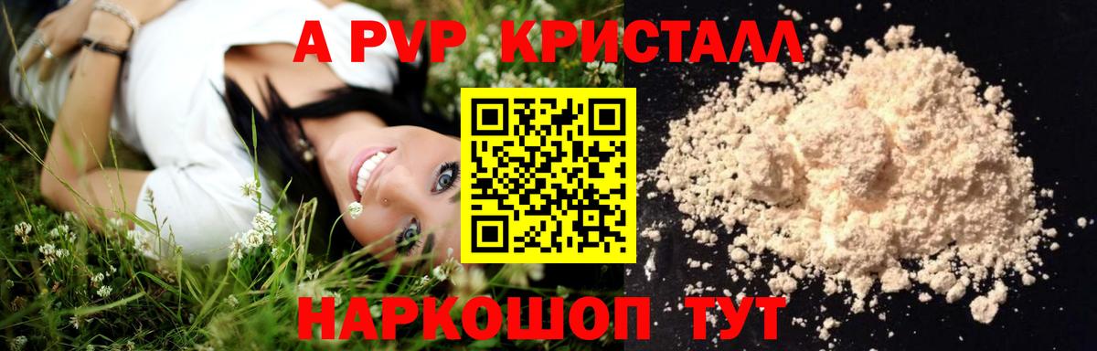 Альфа ПВП СК Губаха