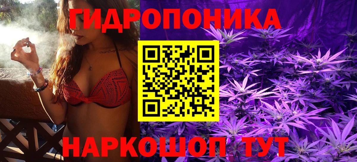 Шишки марихуана семена Губаха